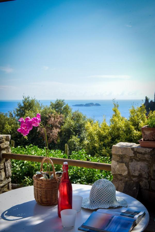 Villa Punta Del Sole Positano Buitenkant foto